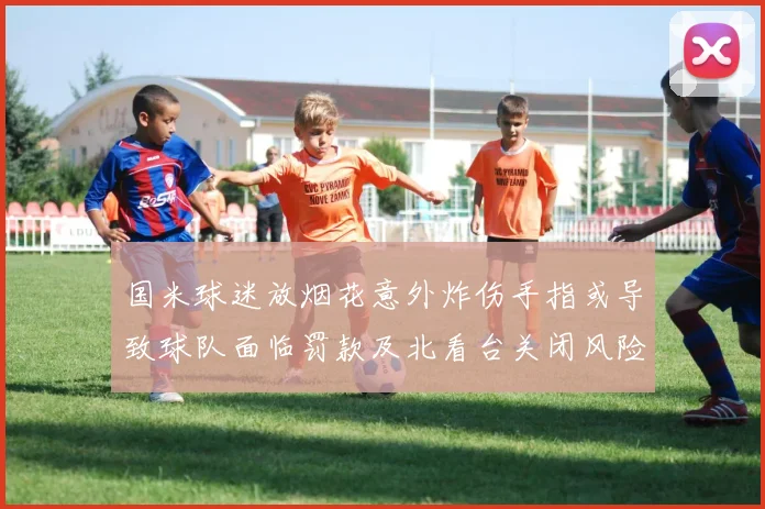 国米球迷放烟花意外炸伤手指或导致球队面临罚款及北看台关闭风险