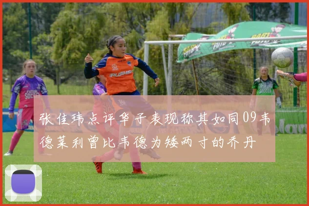张佳玮点评华子表现称其如同09韦德莱利曾比韦德为矮两寸的乔丹